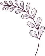 vector