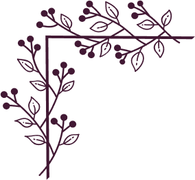 vector